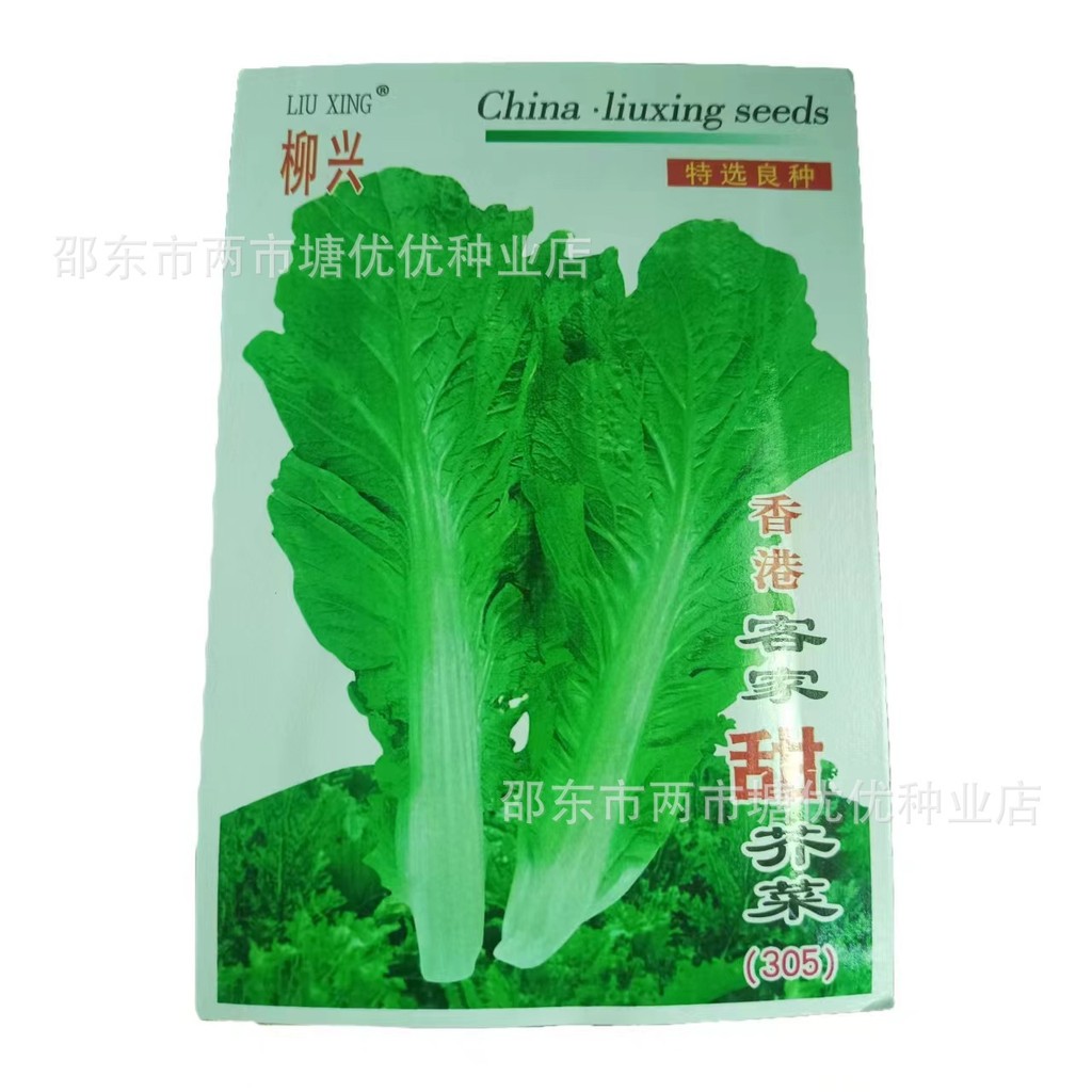 现货热卖香港客家甜芥菜种子甜竹芥菜籽咸菜清甜春秋季播农家盆栽蔬菜种孑Hong Kong Hakka sweet mustard seeds, sweet bamboo mustard seeds, s