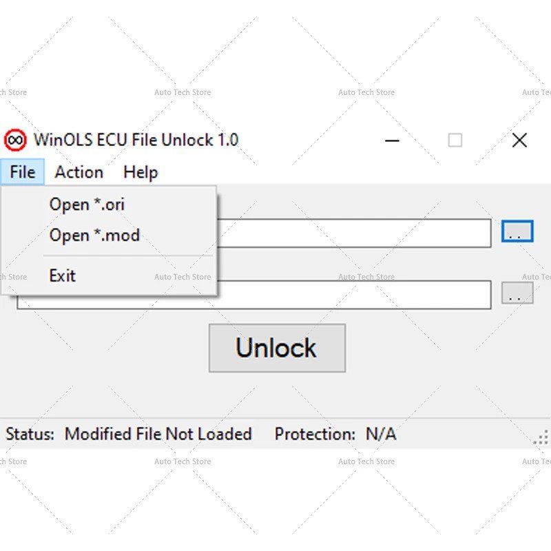 WinOLS ECU File Unlocker - WinOLS NOREAD Removal Tool DGIK