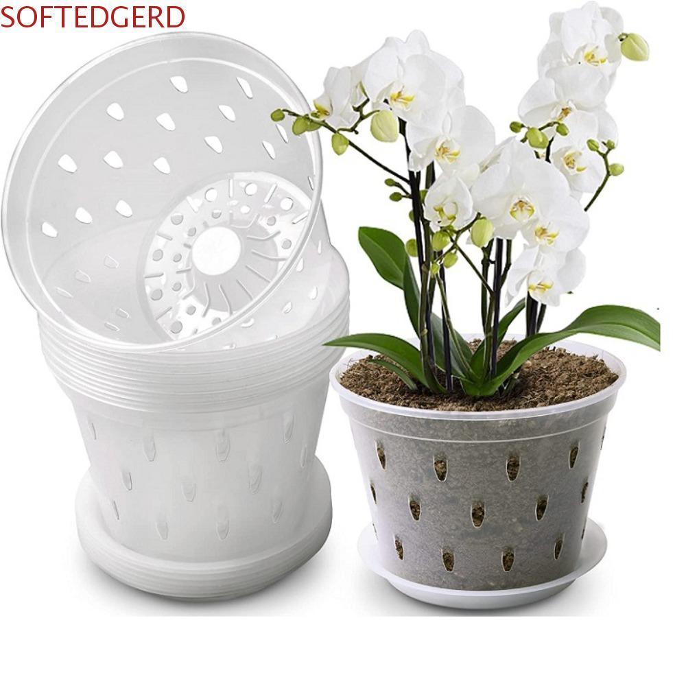 SOFTEDGERD Orchid Pot Breathable Root Control โปร่งใสมีรูและถาด Stomata สําหรับ Phalaenopsis Orchid 