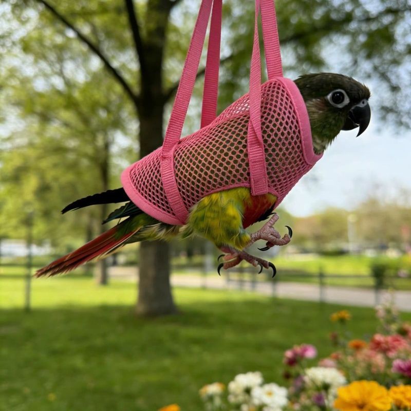 ฤดูร้อนสไตล์ใหม่ตาข่ายระบายอากาศ Parrot Tote Bag Bird Walking Bag Bird Walking Handy Tool Parrot Out