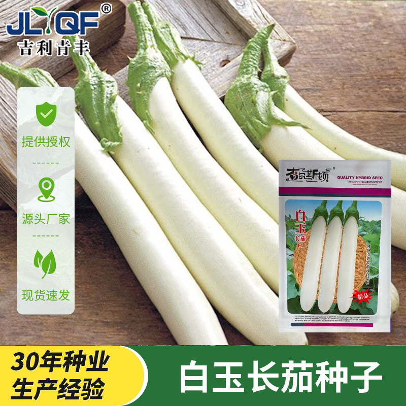 现货白玉长茄种子白皮白玉长茄种籽春夏季菜种菜籽种孑籽皮薄肉厚茄香white jade long eggplant seed white skin white jade long eggplant se