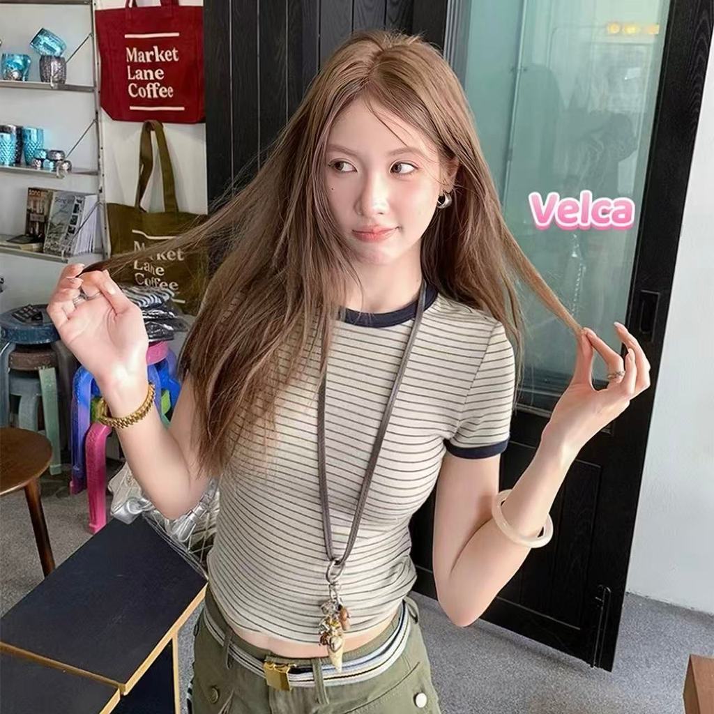 ส่งไวจากไทย เสื้อยืดผู้หญิง เสื้อยืดลายทาง คอกลม เรียบง่าย สีพิเศษ ลายทางสีสวย🌸Velca