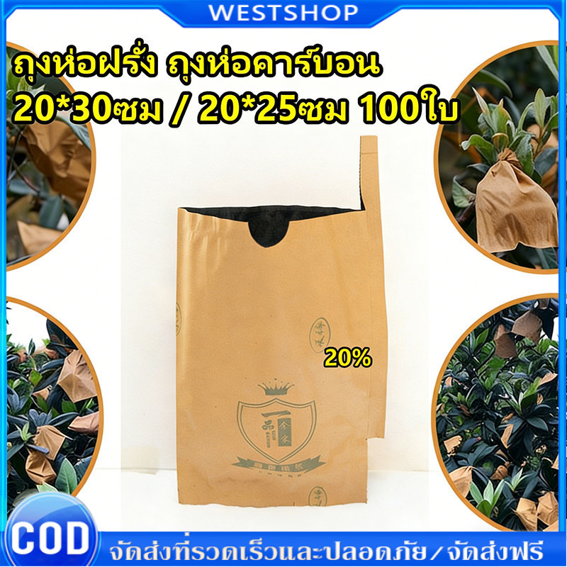 300 ใบ  ถุงห่อฝรั่ง คาร์บอนขนาด ถุงห่อผลไม้ 20*30 ซม ถุงห่อมะม่วงชุนฟงแพค 2 ชั้น กันน้ำ กันแมลงและนก แข็งแรงทนทาน