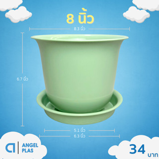 กระถาง กระถางต้นไม้ มินิมอล ถ้วยจีน+จาน ขนาด 8 นิ้ว สีเขียวพ…