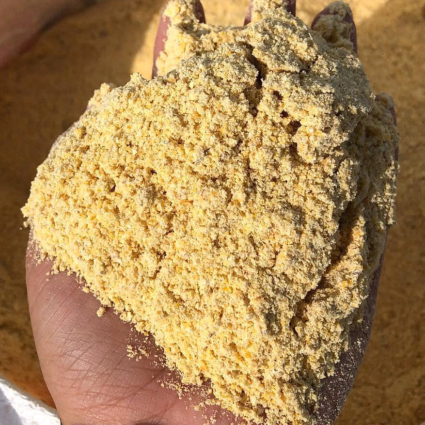 ข้าวโพดบดละเอียด 900g. รำข้าวโพด ฝุ่นข้าวโพด ข้าวโพดบด อาหารสัตว์ลดต้นทุน corn powder ข้าวโพดเหยื่อตกปลา