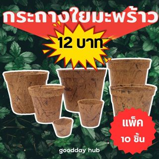 [แพ็ค 10 ชิ้น] กระถางใยมะพร้าว กระถางต้นไม้  กระถางเพาะต้นกล…
