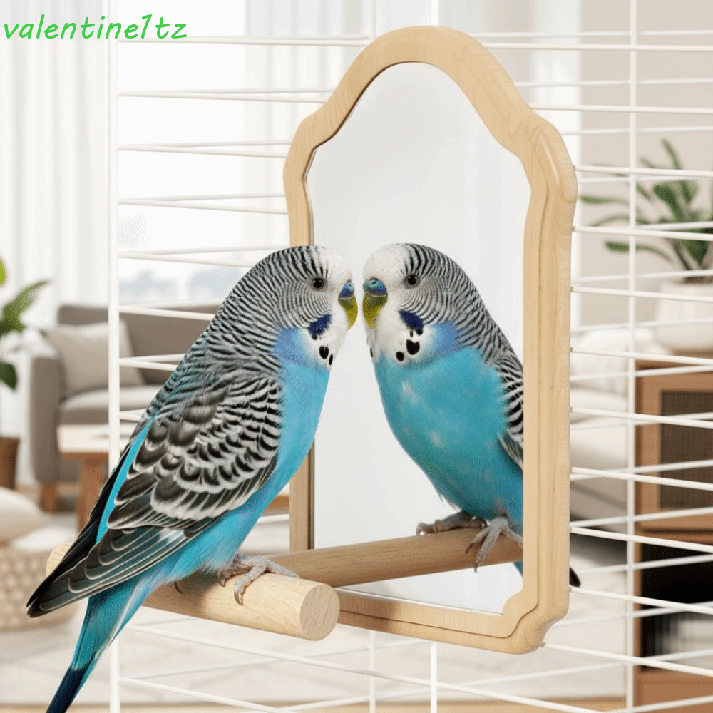 YOGIC กระจกนก Perch, Bite-Resistance ทนทานกระจกนกแก้วของเล่น,แขวนกรงกระจกที่ถอดออกได้สวมใส่ Interactive Bird Cage อุปกรณ์เสริม