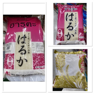 ข้าวญี่ปุ่น ฮารุคะ 5 Kg. Japonica Rice Haruka / ข้าวกล้องญี่…