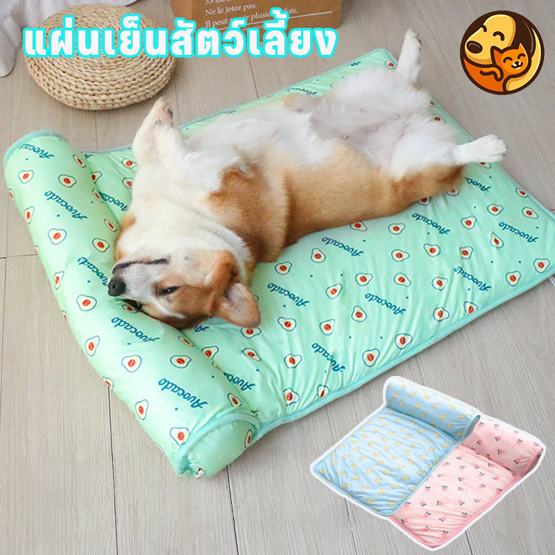 COD แผ่นเจลเย็นสัตว์เลี้ยง ที่นอนเย็น เบาะนอนเย็น สำหรับสุนัขและแมว มีขนาด S/L