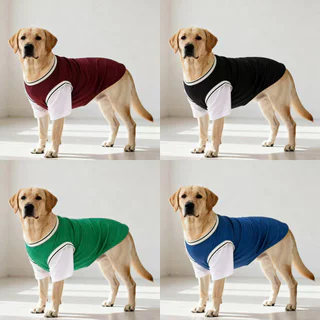 🇹🇭พร้อมส่ง🇹🇭 🐕🦮🐕 BIGSIZE เสื้อ หมาใหญ่ หมาอ้วน ลายแฟชั่น ผ้าใส่สบาย FOR สัตว์เลี้ยง สุนัขพันธุ์ใหญ่