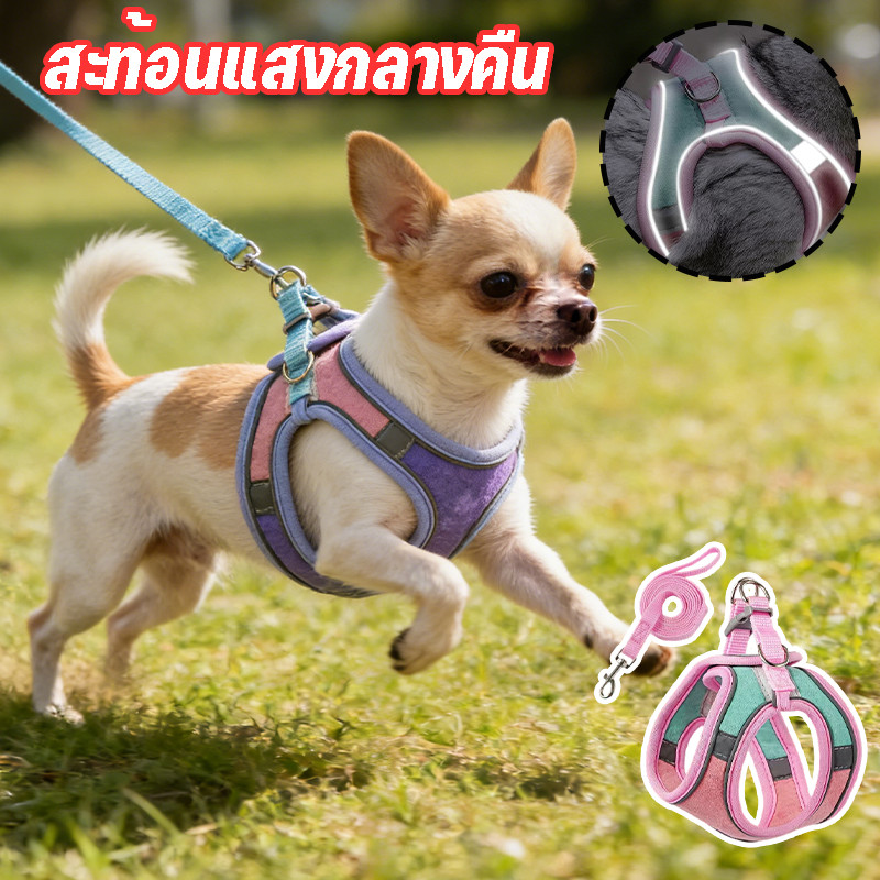 AL-266 สายรัดอก พร้อมสายจูงสัตว์เลี้ยง สุนัข หมา แมว เสื้อรัดอก ปลอกคอ ปรับได้ พร้อมส่ง 😘🐶