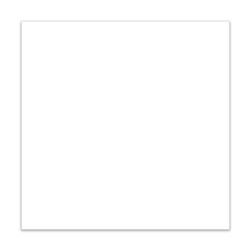 BOONPLUS กระเบื้อง NEW CLASSIQUE WHITE(03100.)60X60 CM