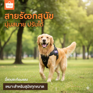 สายคล้องคอปรับสายรัดสบายสัตว์เลี้ยง สายรัดอกสุนัข สัตว์เลี้ยง อุปกรณ์สุนัข สายรัดอกสุนัข สายรัดอก