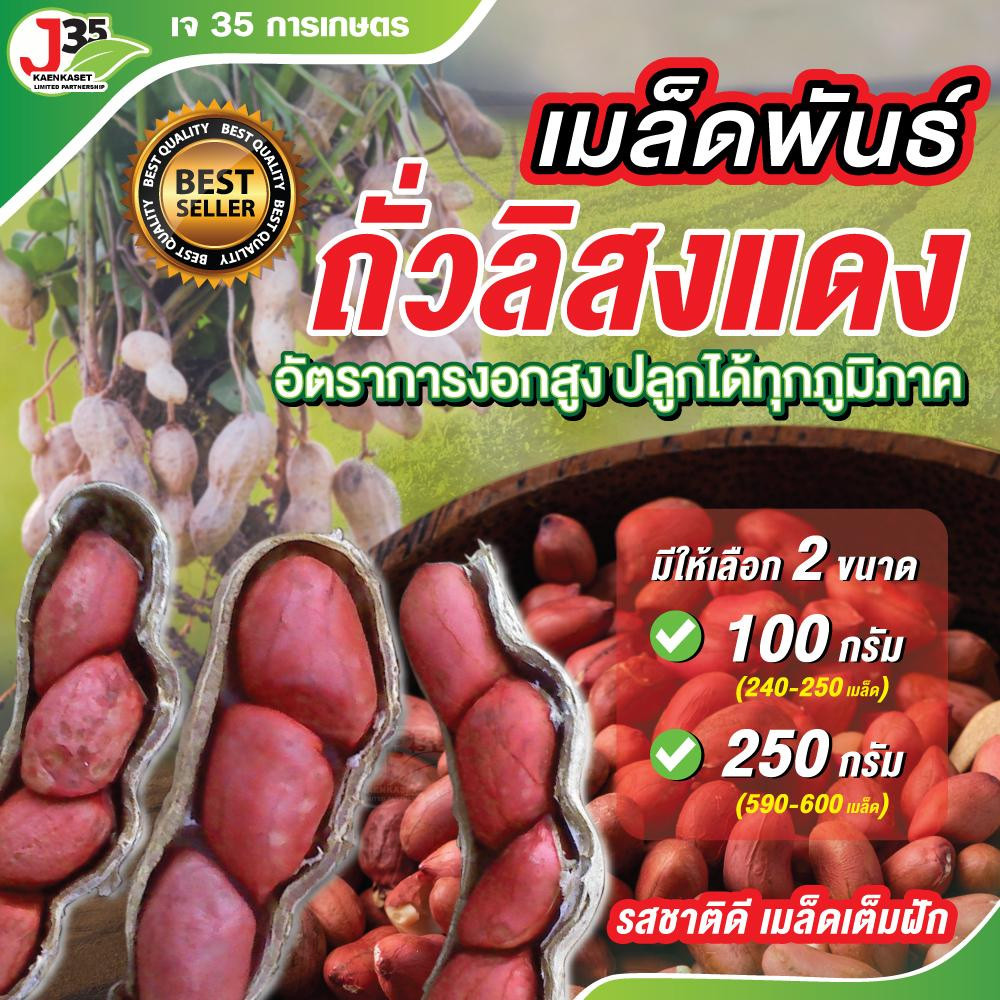 (100,250กรัม) เมล็ดพันธ์ุถั่วลิสงแดง เมล็ดแดง ถั่วลิสง  ถั่วลิสงแดง เมล็ดพันธ์ุ สำหรับปลูก