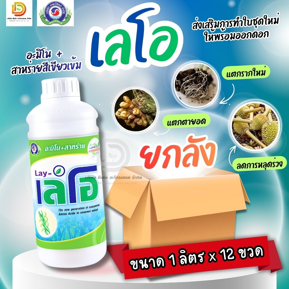 (ยกลัง1L*12) เลโอ สาหร่ายสีเขียวสกัดเข้มข้น ฟื้นต้นหลังเก็บเกี่ยว ทำใบ เปิดตาดอก #เทพวัฒนา ฟื้นต้นหลังเก็บเกี่ยว