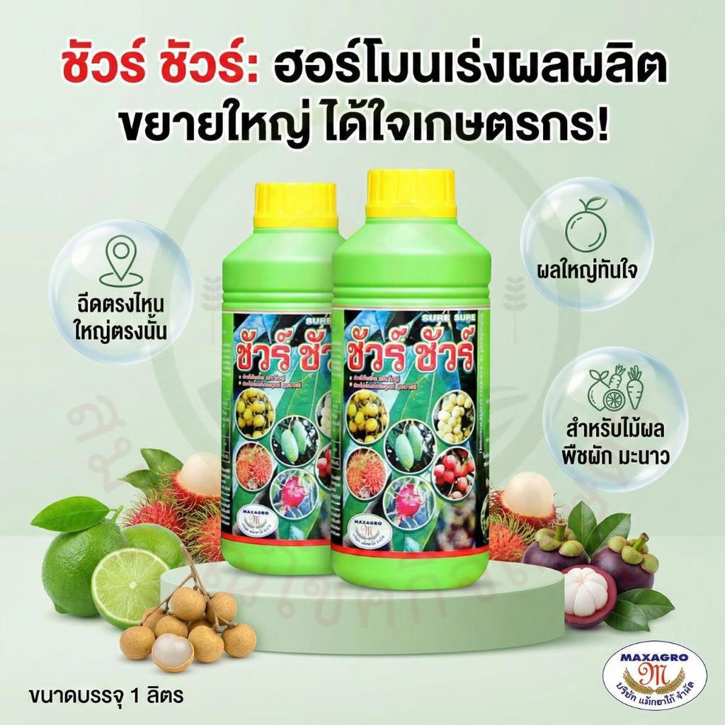 ชัวร์ ชัวร์ ขนาด 1 ลิตร ฮอร์โมนเร่งผล ฉีดตรงไหน ใหญ่ตรงนั้น ทุเรียน มะนาว มะม่วง กล้วย ตราแม็กซาโก้