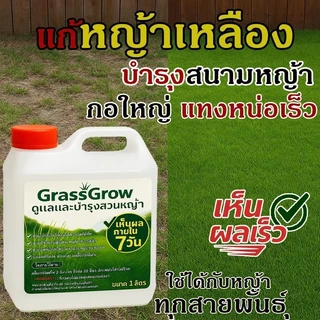 ปุ๋ยน้ำบำรุงหญ้า ให้เขียวสด แก้หญ้าเหลือง ใช้ได้กับหญ้าทุกสายพันธ์ ปลอดภัย บำรุงหญ้าไทเป ปุ๋ยบำรุงหญ้าสนาม