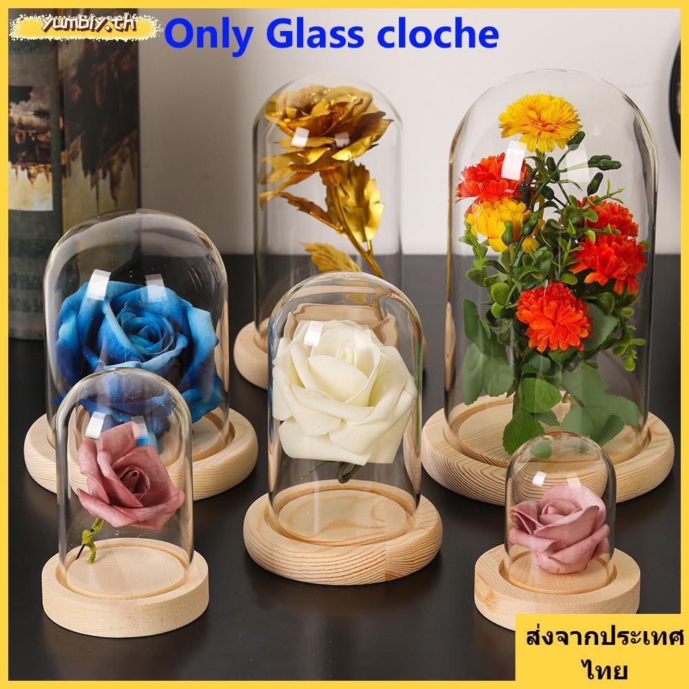 จัดส่งจากประเทศไทยYUMBLY ฝุ่น Terrarium โต๊ะตกแต่งบ้าน Terrarium โปร่งใสขวด Jar ดอกไม้กล่องเก็บ
