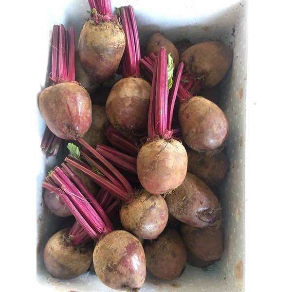 111 บีทรูทสด 1kg สีสดมากก Good