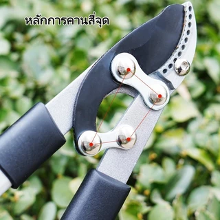 SK5กรรไกร กรรไกรตัดกิ่ง ตัดแต่งกิ่งไม้ใบมีด คีมตัดกิ่งไม้ ที่ตัดกิ่งไม้ มีดตัดกิ่งไม้ตัดกิ่งไม้สูงเลื่อยตัดกิ่ง49-100CM