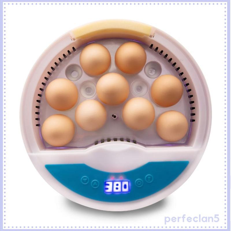 [Perfeclan5] นกไก่อัตโนมัติ 9Eggs Hatching Incubator 50HZ ปลั๊ก US สําหรับไก่