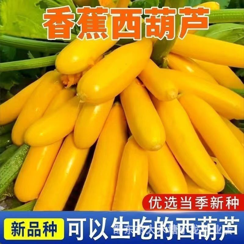 现货水果香蕉西葫芦种子香蕉瓜盆栽种籽特色春秋季四季蔬菜种子瓜种子fruit banana zucchini seeds banana melon potted species20260329