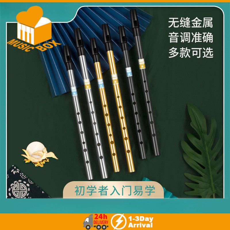 Irish Whistle Flute C/D Key Tin Penny Whistle พร้อมเครื่องดนตรีไอริชแบบดั้งเดิม 6 หลุม