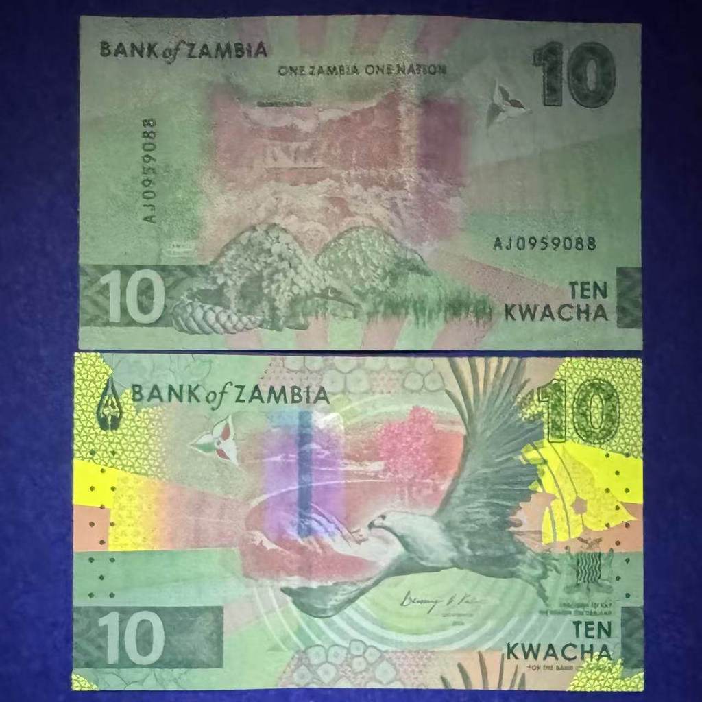 เหรียญต่างประเทศ Africa Zambia 10 Kwacha ธนบัตรใหม่เอี่ยม UNC Africa Flying Eagle P-62 Fidelity 1.10