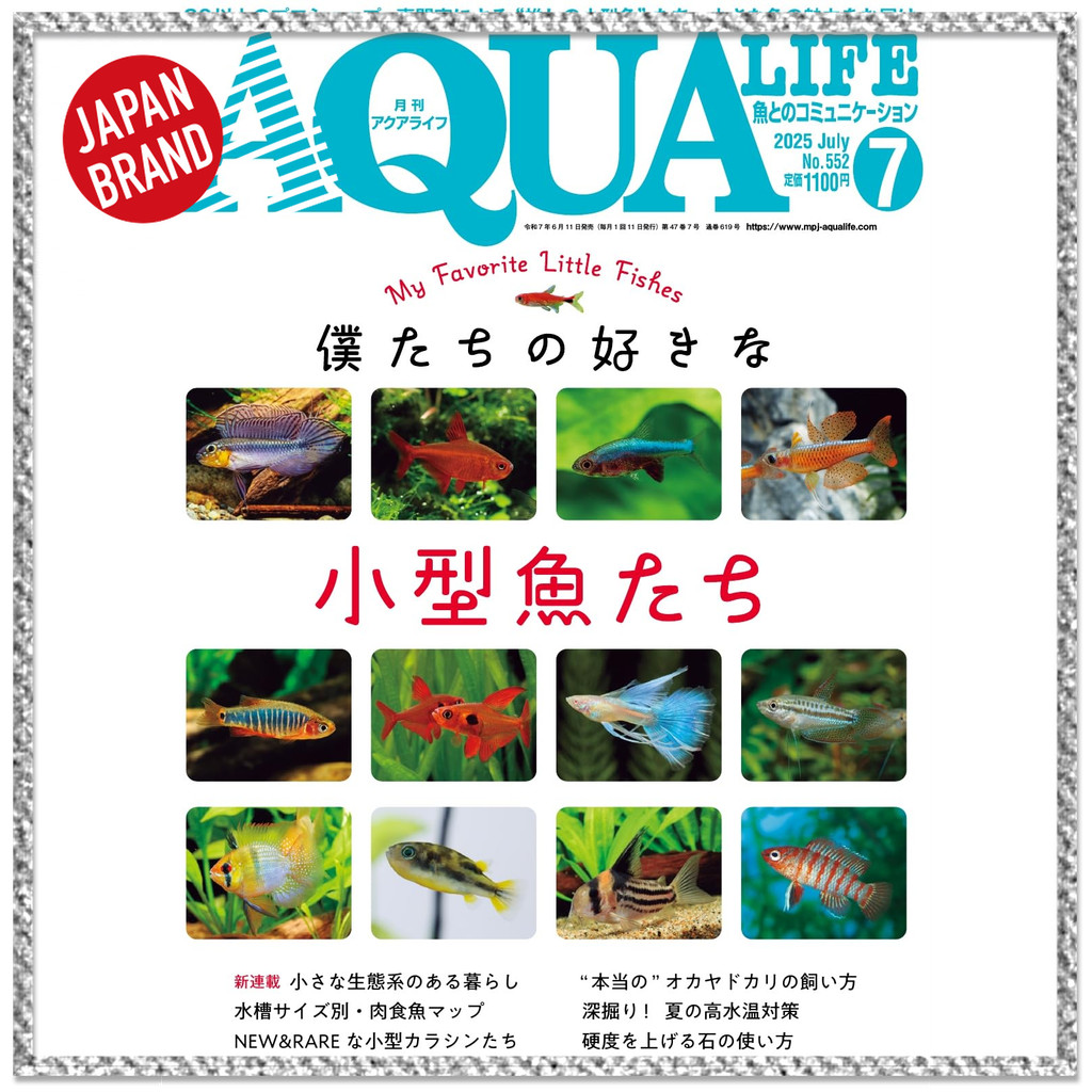 Magazine AQUA LIFE  202507【Made in Japan】