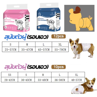 ผ้าอ้อมสัตว์เลี้ยง S/M/L/XL สำหรับสุนัขและแมว สัตว์เลี้ยง pet diapers แพมเพิสสุนัข แบบใช้แล้วทิ้ง