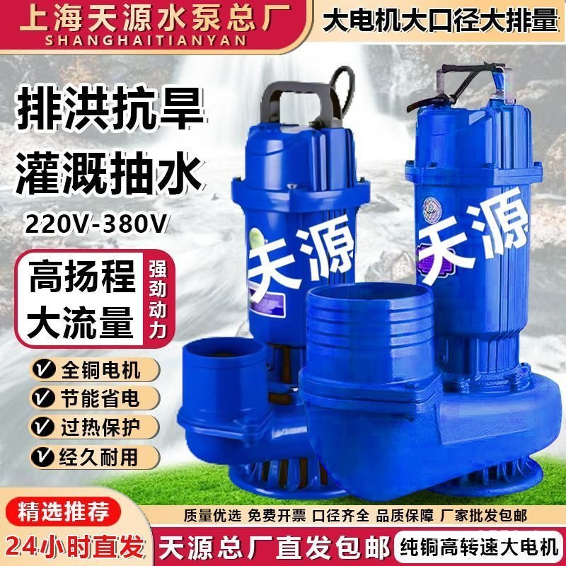 ครัวเรือนขนาดใหญ่เส้นผ่านศูนย์กลาง 10 ซม.ชลประทาน 220v380v ปั๊มจุ่ม Farmland River Water ขนาดใหญ่ Di