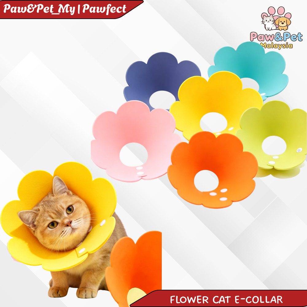 ดอกไม้แมว E-COLLAR แมวคอ Colar สุนัข e-four ปลอกคอสุนัข Kolar Kucing Recovery Cone E-Collar 猫头套 丽