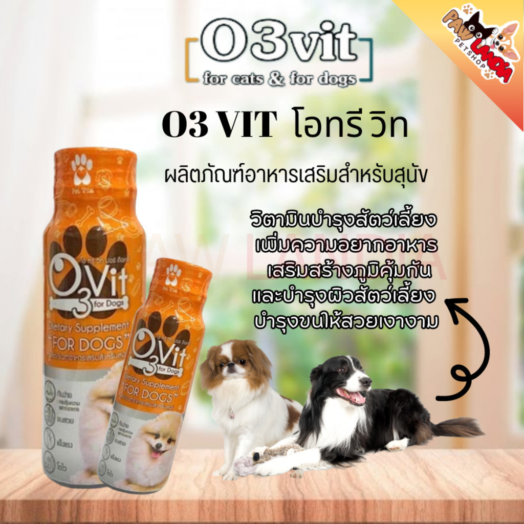 {1 ขวด 50ml} O3vit วิตามินบำรุง สุนัขให้อ้วน ขนสวย แข็งแรง มีไลซีน เสริมภูมิ {สุนัข} {Exp.08/2026}