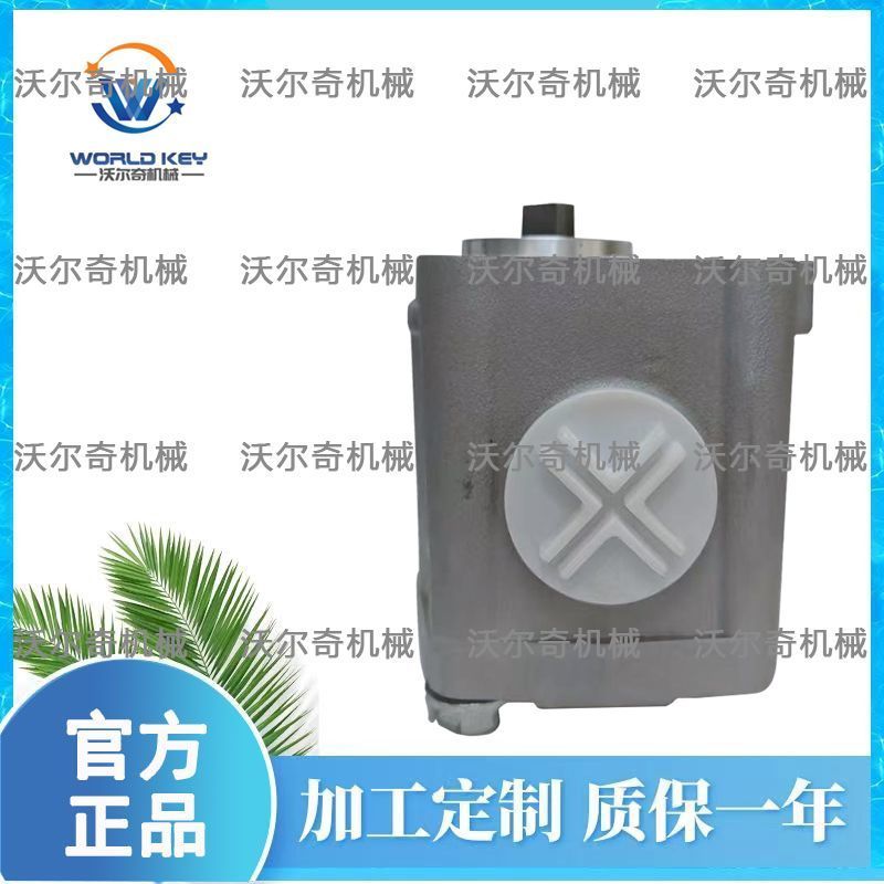 Hydraulic Pump 67980-36100 for Kubota D722 Engine Original Quality Part