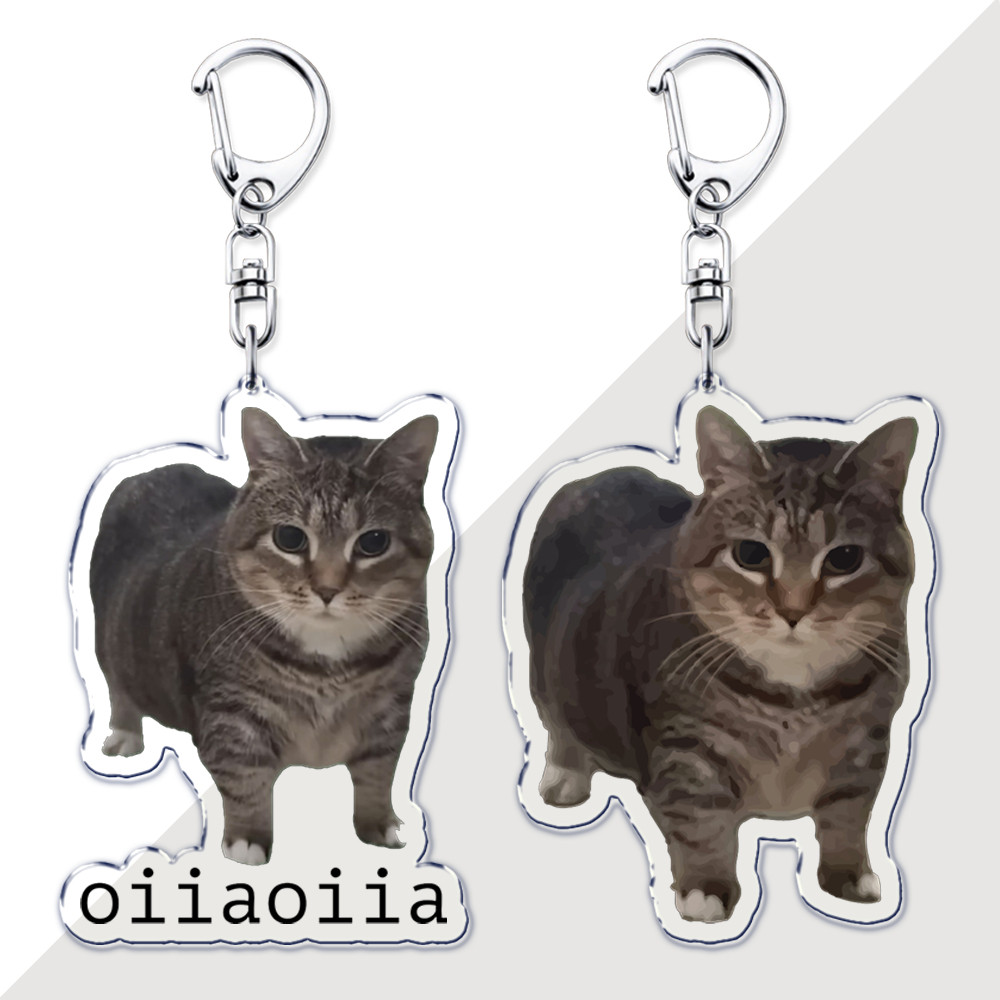 ตลก Brainrot Spinning Cat พวงกุญแจสําหรับอุปกรณ์เสริมกระเป๋า OIA OIIA Meme Uia Meow Key Chain แหวนเค