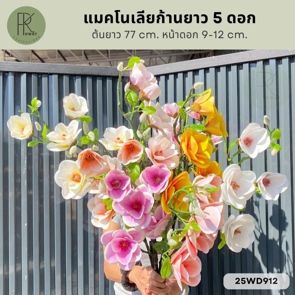 แมคโนเลียก้านยาว 5 ดอก ขนาด ต้นยาว 77 cm. หน้าดอก 9-12 cm.