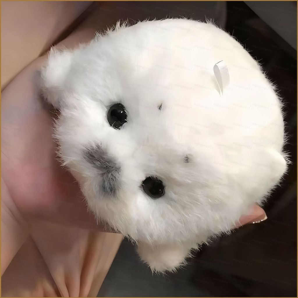 HQ น่ารักเหมือนจริง Little Seal ตุ๊กตากระเป๋า Charm Plushie พวงกุญแจ