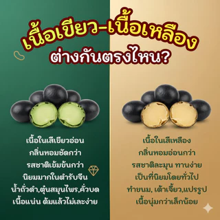 ถั่วดำ เนื้อเขียว คัดพิเศษ เมล็ดใหญ่ เปลือกเงาดำ เนื้อในสีเขียวธรรมชาติ