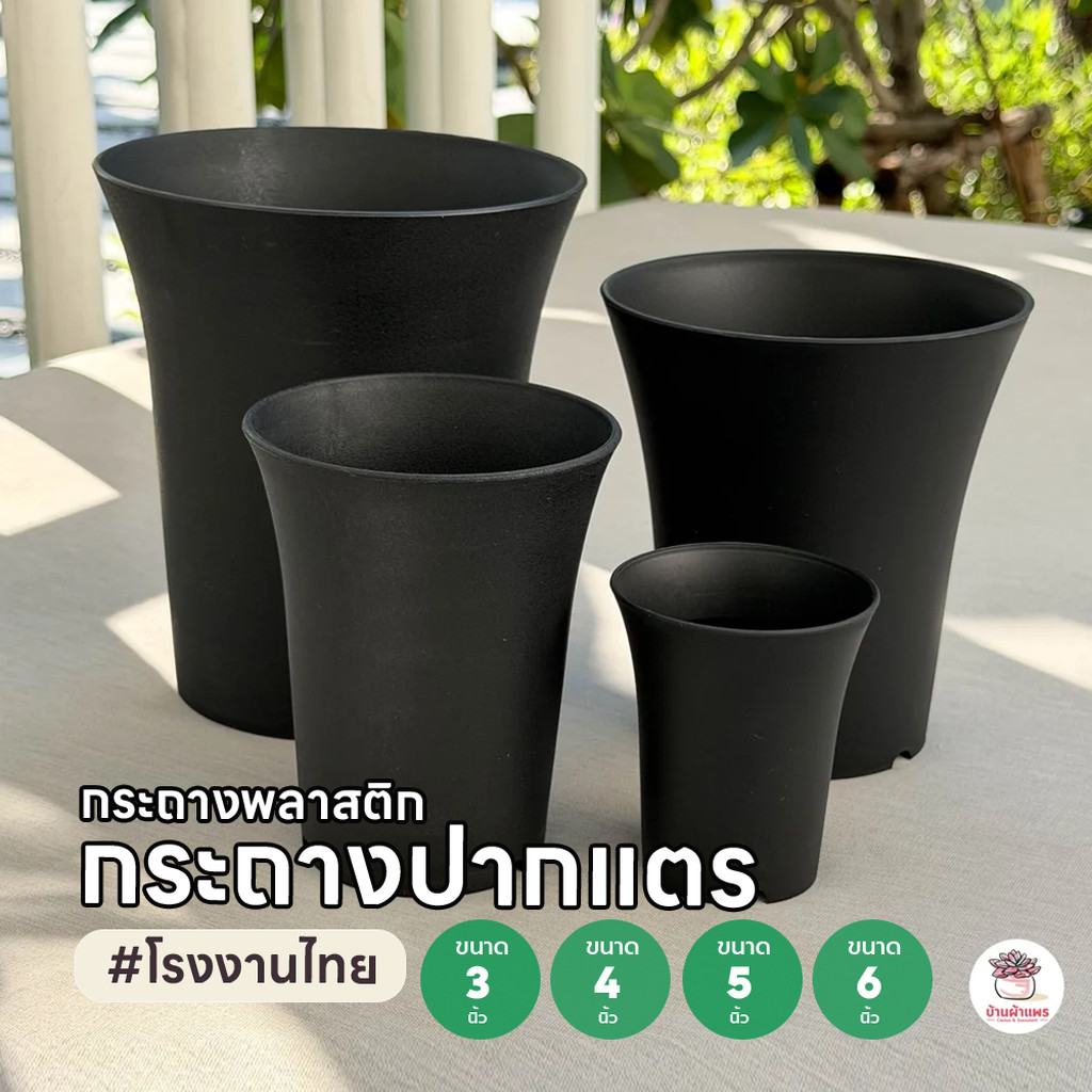 กระถางปากแตร 3 นิ้ว – 6 นิ้ว [ #โรงงานไทย ] กระถางพลาสติก แคคตัส กระบองเพชร ไม้อวบน้ำ Cactus&Succulent