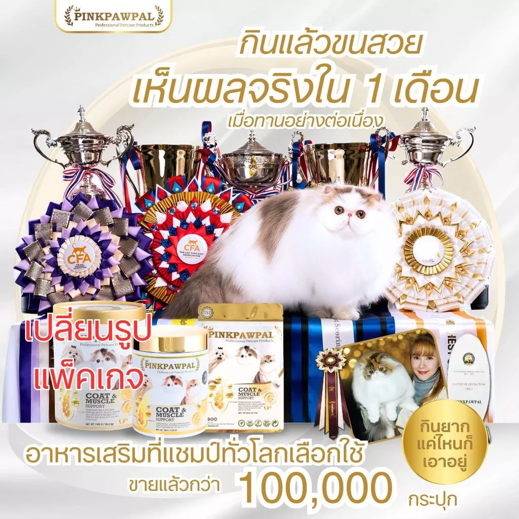 PINKPAWPAL ผงโปรตีนเสริมภูมิคุ้มกัน บำรุงขน เพิ่มน้ำหนัก หมาแมว thumbnail 4