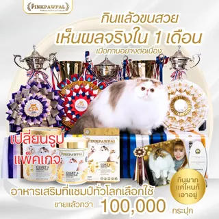 PINKPAWPAL ผงโปรตีน เสริมภูมิคุ้มกัน บำรุงขน เพิ่มน้ำหนัก เพิ่มกล้ามเนื้อหมาแมว