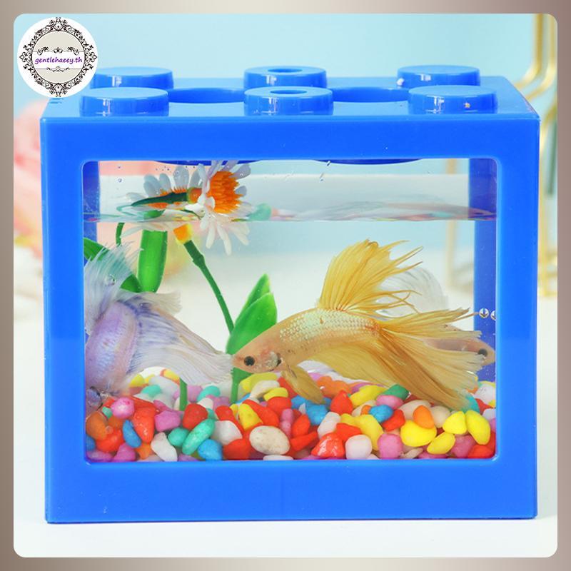 GG 1PC Home Blo Fish Tank Fighting Fish Tank เดสก์ท็อปขนาดเล็ก Mini Fish Tank Staable Creative Desig