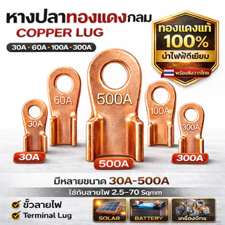 จากไทย SC หางปลาทองแดง ขนาด 10-500 แอมป์ ขั้วต่อทองแดง, ทองแดงบริสุทธิ์แท้ 💯%, ตัวเชื่อม