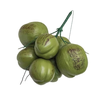 Realistic Coconuts Fruit Vegetable Model Photography Props Durable ABS Materials
