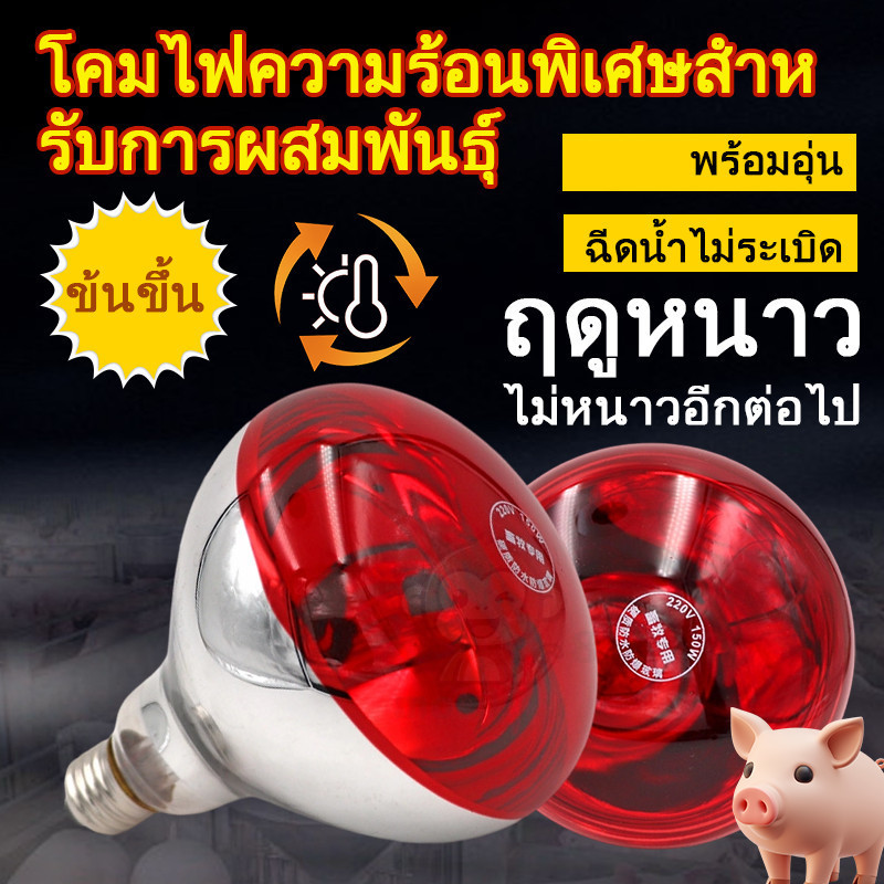 หลอดฟอินฟาเรดทำความร้อน หลอดไฟกกไก่ หลอดไฟกกนก กกหมู ป้องกันระเบิด ประหยัดพลังงาน ฟาร์มไก่ หมู แพะ
