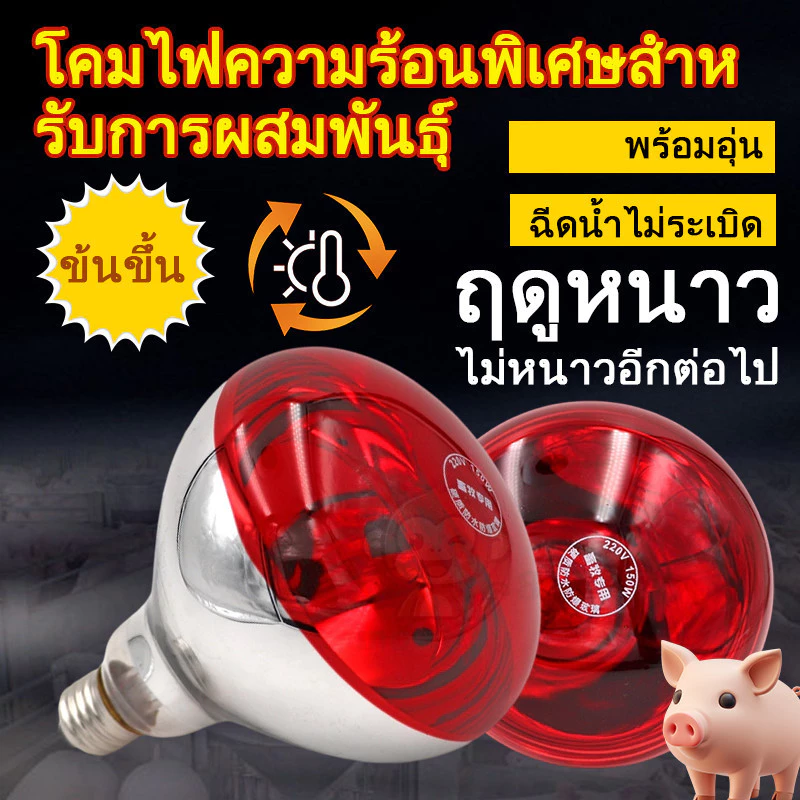 หลอดฟอินฟาเรดทำความร้อน หลอดไฟกกไก่ หลอดไฟกกนก กกหมู ป้องกันระเบิด ประหยัดพลังงาน ฟาร์มไก่ หมู แพะ