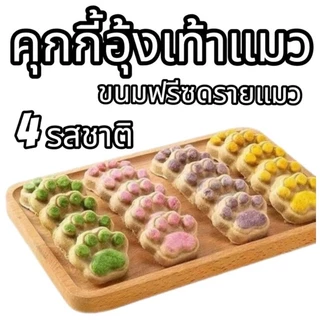 PL คุกกี้แมว แพ็ค1ชิ้น 3ชิ้น 5ชิ้น ฟรีซดรายอุ้งเท้าแมว ขนมแมว ขนมสุนัข อกไก่ฟรีซดราย บำรุงขน ไม่เติมแป้ง 4 รสชาติ