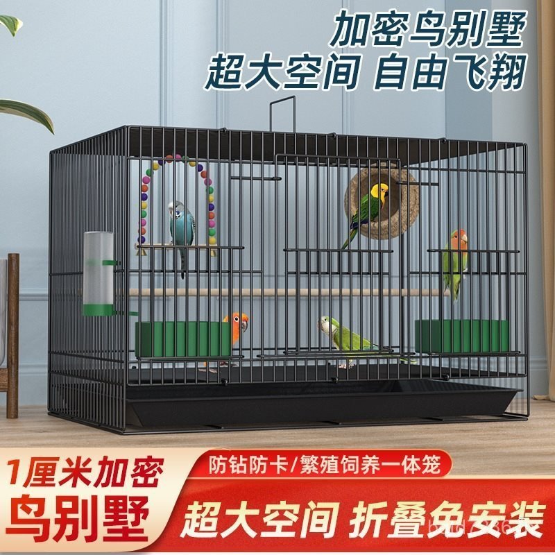 My Brother Tiger Skin ขนาดใหญ่นกแก้วโลหะ Pigeon Cage Bird Phoenix Bird Cage Acacia Bird Cage Bird Ca