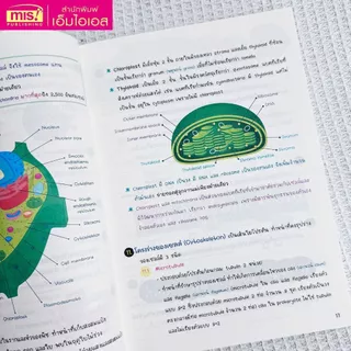 หนังสือ Short note ชีววิทยา BIOLOGY คู่มือการเรียน อ่านทบทวน เตรียมตัวก่อนสอบ