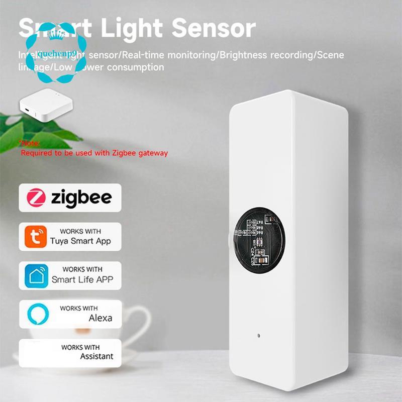 [Fast Q9]Tuya ZigBee Light Sensor Luminance Sensor Beam Sensor การตรวจจับการสูญเสียแบบเรียลไทม์ Smar